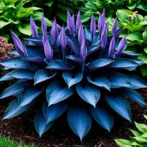 Хоста Сикрет Гров купить по цене от 570р. в интернет-магазине «Посадика» с доставкой почтой в в Новомичуринске и по всей России – [изображение №1].