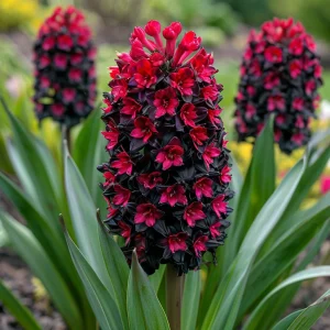 Гиацинт Джем Стоун купить по цене от 2099р. в интернет-магазине «Посадика» с доставкой почтой в в Новомичуринске и по всей России – [изображение №1].