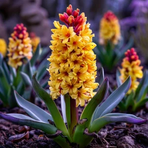 Гиацинт Миднайт Мистери купить по цене от 2099р. в интернет-магазине «Посадика» с доставкой почтой в в Новомичуринске и по всей России – [изображение №1].